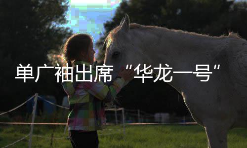 单广袖出席“华龙一号”西部首堆经验总结暨批量化项目高质量建设推进会 董事长杨长利出席会议