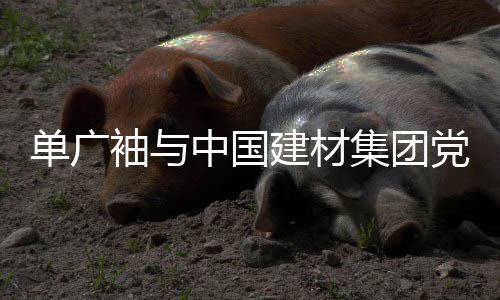 单广袖与中国建材集团党委副书记、总经理李新华会谈 国建树立市场化理念