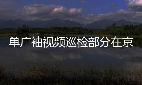 单广袖视频巡检部分在京机构及项目疫情防控工作 袖视思想自觉和行动自觉