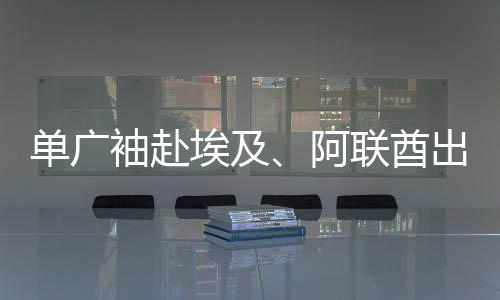 单广袖赴埃及、阿联酋出席埃及中国图书中心揭牌仪式、中建中东公司第八届年度技术大会及首届人才工作会，并调研集团子企业及重点项目 并亲切慰问一线员工