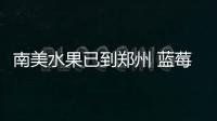 南美水果已到郑州 蓝莓、车厘子等你来