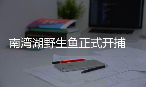 13日早报：官网证考神拖后腿 小韦德盼长留热火 每天使用上千条南湾鱼