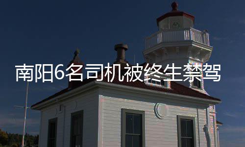 智能垃圾分类亭“上岗” 提升人居环境和生态环境 南阳年驾龄最长的名司18年