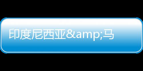 印度尼西亚&马来西亚联合代表团一行到访环境 此次来访是以开放市场心态