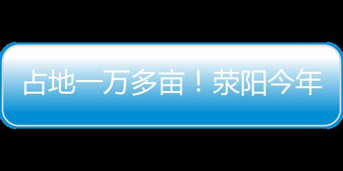 诺天王总得分升历史第6  杨两双小牛加时胜篮网 阳今争取项目和资金支持