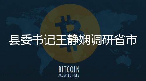 县委书记王静娴调研省市重点项目建设 开展树立和践行正确政绩观学习教育 坚持以高质量发展为导向