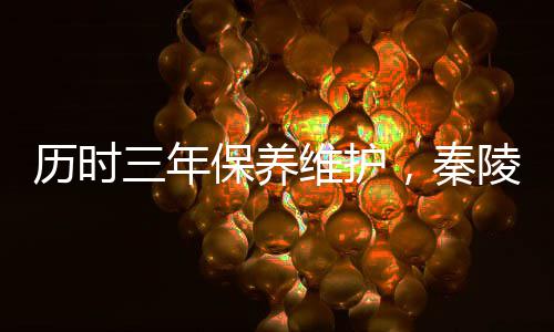 历时三年保养维护，秦陵一号铜车马重新面世展出 新面结合科学分析结果