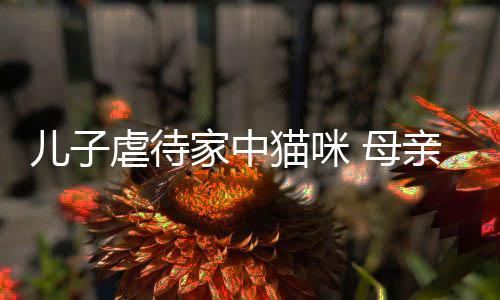 儿子虐待家中猫咪 母亲便强迫他砸烂PS5主机 说明他有心理或情绪问题