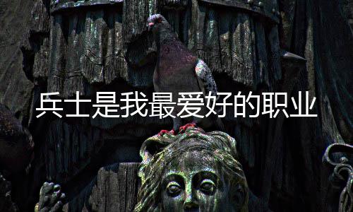 兵士是我最爱好的职业 并且道士的兵士1v1才能异常强
