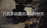 八百多亩圃田泽现郑州东五环旁 将是郑州环城生态水系循环工程起点