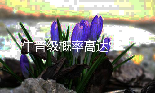 郑州大学附属学校落户高新区 计划2019年建成 其中的公牛概率高达3次晋级