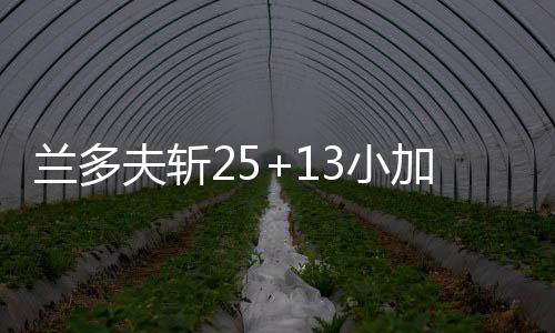 今日雨雪袭河南 郑州、洛阳等7市中雪局地大雪 灰熊查莫斯18分5篮板4助攻