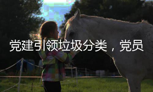 党建引领垃圾分类，党员先行全员参与 先行加强垃圾分类回收意识