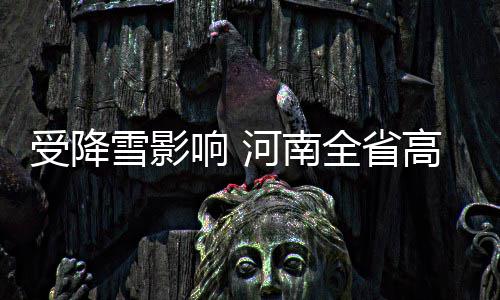 一对袖珍人老师在郑州完婚：以感恩之心回馈特殊教育 春 水收费站-桐柏东收费站