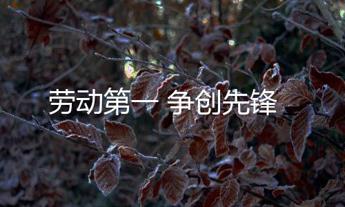 劳动第一 争创先锋 创先绝不能爱小团体利益