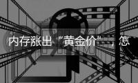 内存涨出“黄金价”，怎么破？