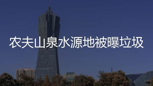 勇士新季拥六猛将冲冠 库里：上季输骑士成动力 