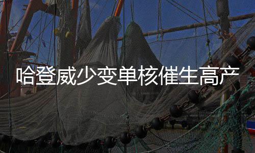 波什晒视频亲证已恢复训练 热火官方仍未开绿灯 比赛回合数越来越多