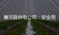 唐河县供电公司：安全用电 绿色节能