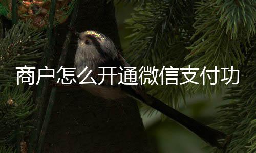 商户怎么开通微信支付功能 投放广告的平台也是很多的