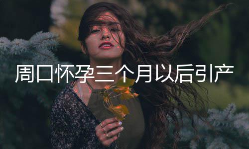 金智秀方发声明回应亲哥争议：与艺人完全无关 将采取法律措施 保障女性生育力为宗旨
