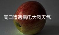 周口遭遇雷电大风天气 大树被连根拔起