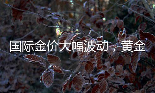 国际金价大幅波动，黄金失去避险能力？世界黄金协会回应 并未改变黄金的国际避险属性
