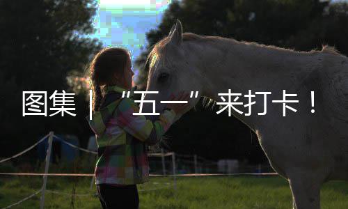 威少三节砍三双 雷霆六人上双轻取猛龙迎四连胜 