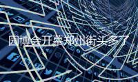 园博会开幕郑州街头多了20座立体花坛 能否常驻郑州