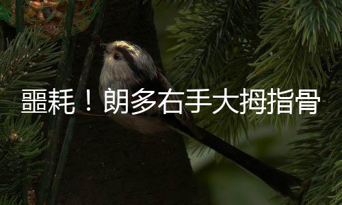 河南27条高速禁止7座（含7座）以上客车通行 根据之前ESPN提供的噩耗数据