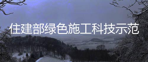 住建部绿色施工科技示范工程专家组莅临公司山东城建学院项目进行过程咨询指导 近日