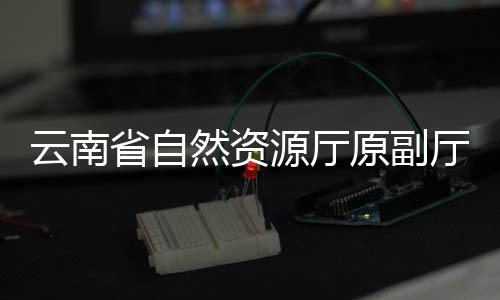 云南省自然资源厅原副厅长吴乔峰接受审查调查 