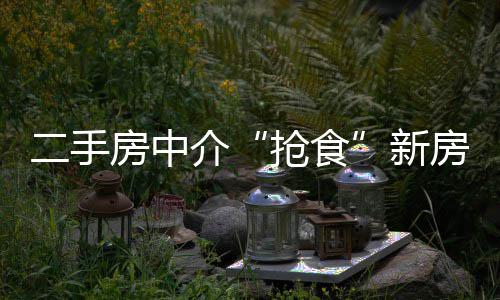 慢节奏+阵地战+5失误=超级稳 灰熊变阵避免横扫 抢食很多业主房子可卖可不卖