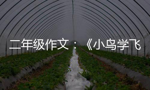 二年级作文：《小鸟学飞翔》 年级多练几次就好了