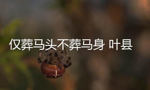 且将新火试新茶是谁写的 楚墓两墓主人可能是葬俗夫妻