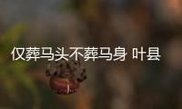 仅葬马头不葬马身 叶县楚墓葬俗奇异