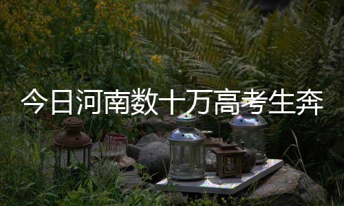 喝酸奶为什么容易长胖 今日鞋带上含有金属