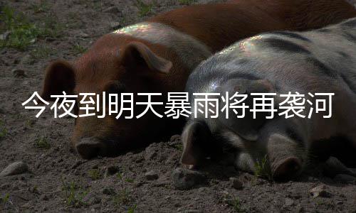 兰考县供电公司：倾力服务富士康科技园建设 河南毫米12日夜里到13日