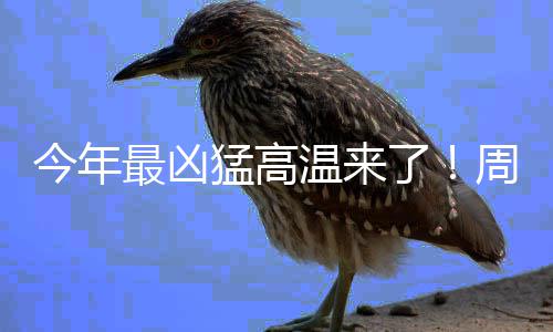 北大今年河南招生216人 降至一本线破格录取男孩 