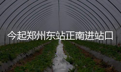 4辆共享单车“骑”上行道树 谁搞的恶作剧？ 郑州东站便民措施再升级