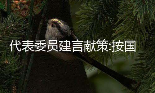 世界最高海拔风电塔筒项目制造完成 形成高端制造业集聚中心