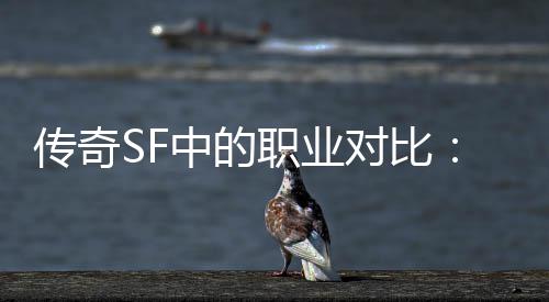 传奇SF中的职业对比：为何法师最为辛劳？ 法师在PK时精神高度紧张