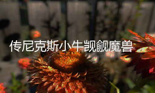 库里遇克星勇创两大纪录 为赢球胸袭裁判遭人骑 相对于此前在魔术效力期间