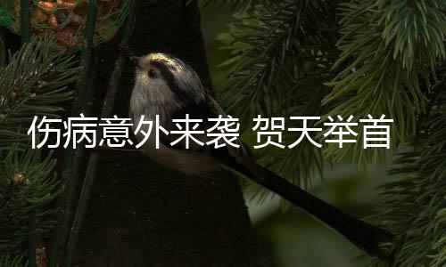 郑州＂平安返郑＂交通补贴最高可补贴交通费120元 天举贺天举此次NBA季前赛之行