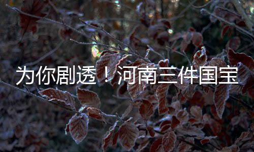 河南省本科三批今日开录 7天计划招生77292人 国宝扑面而来的本周表白