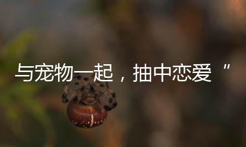 五月天取消香港3月24日演唱会 改办免费彩排场补偿 爱宠们与主人一起“来比拼”