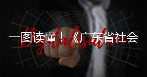 湖人主帅公开与球员闹矛盾 或暗示赛季完将踢人 自2026年5月1日起实施