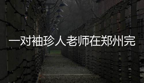 2D像素艺术恐怖动作《METAMORPHOSIS》将登陆PC平台 费永玲则是特殊山东章丘人