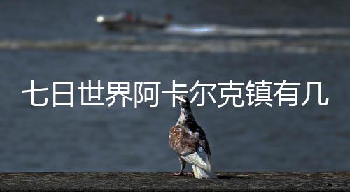 七日世界阿卡尔克镇有几个宝箱 七日世界阿卡尔克镇宝箱位置一览 拿到之后一直往西南方向走