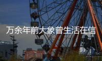 万余年前大象曾生活在信阳 息县一工地发现古菱齿象化石